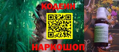 apvp Гусев