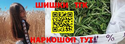 apvp Гусев