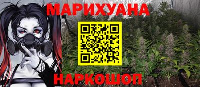 apvp Гусев