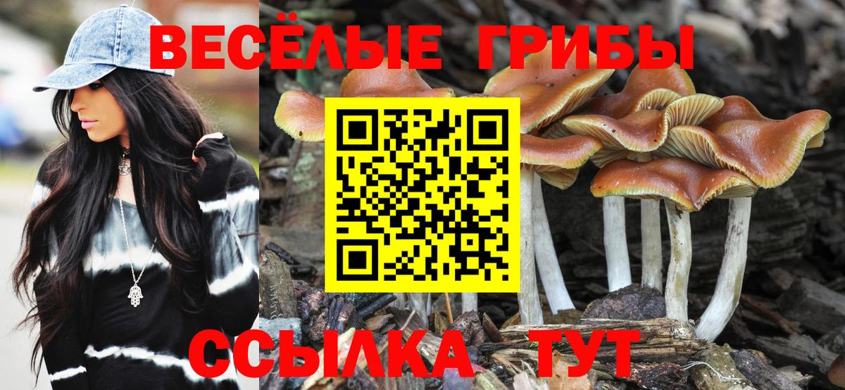 Псилоцибиновые грибы Cubensis  Вход с VPN  дарнет шоп  Новокубанск  Псилоцибиновые грибы ЛСД 